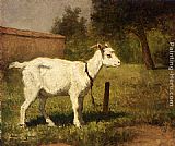 A Goat In A Meadow by Henriette Ronner-Knip